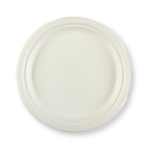 10" Paper Dinner Plates 500/case