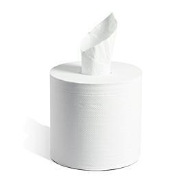 Center Pull Towel 2-ply (01322) 600sh 6/case